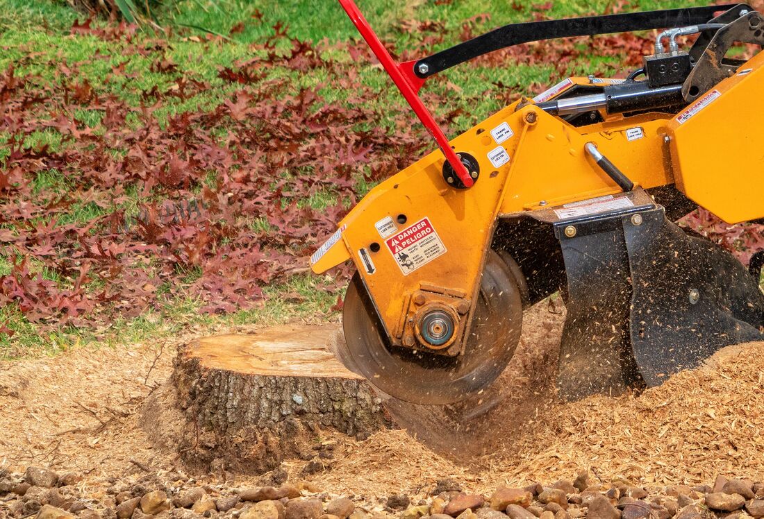An image of Stump Grinding Services in Richmond ENG